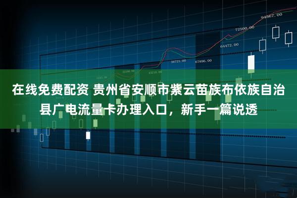 在线免费配资 贵州省安顺市紫云苗族布依族自治县广电流量卡办理入口，新手一篇说透